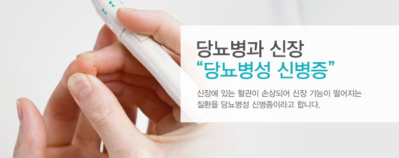 당뇨병과 신장 "당뇨병성 신병증"
