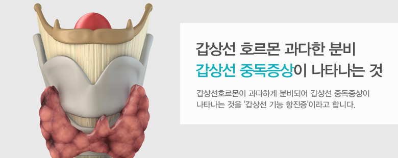 혈당측정과 약물 복용은 기본!식이조절과 꾸준한 운동은 필수!